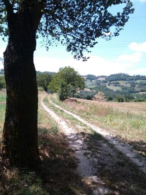 Casa Vacanze Campo d'Arco Nocera Umbra Esterno foto